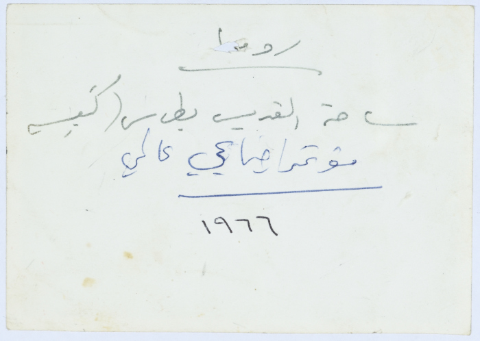 Amin al-Khatib at Saint Peter's Square During an International Social Conference