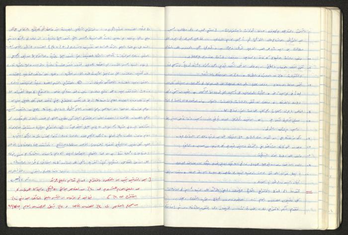 A National Detention Booklet