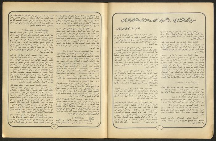 مجلة النساء الديمقراطيات 