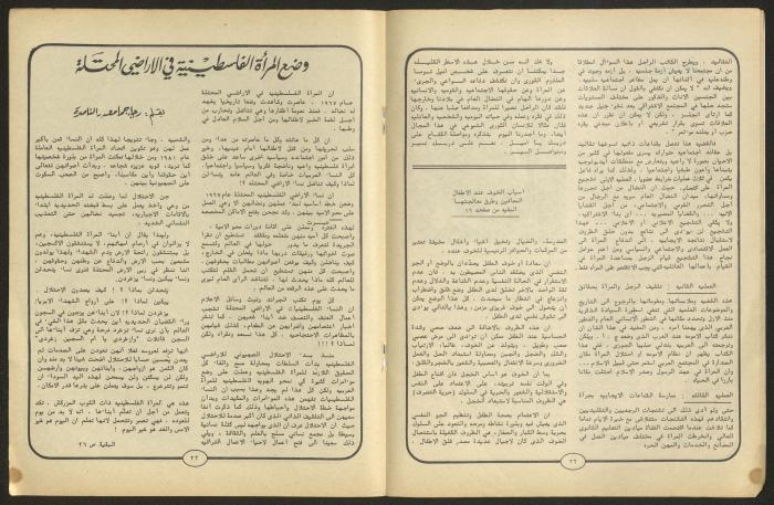 مجلة النساء الديمقراطيات 