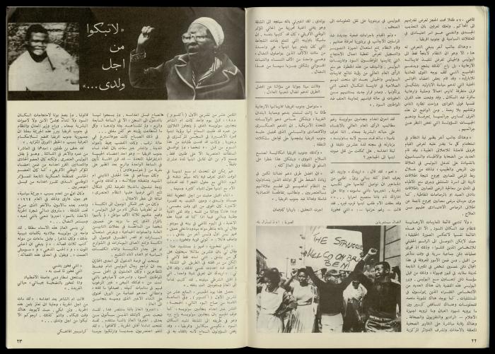 مجلة النساء الديمقراطيات 