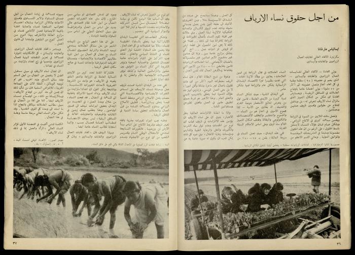 مجلة النساء الديمقراطيات 