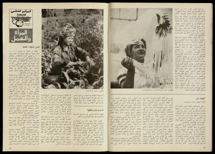 مجلة النساء الديمقراطيات 