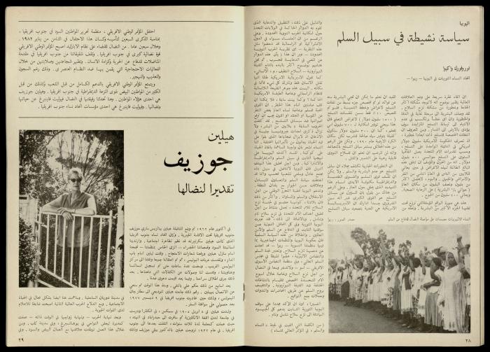 مجلة النساء الديمقراطيات 