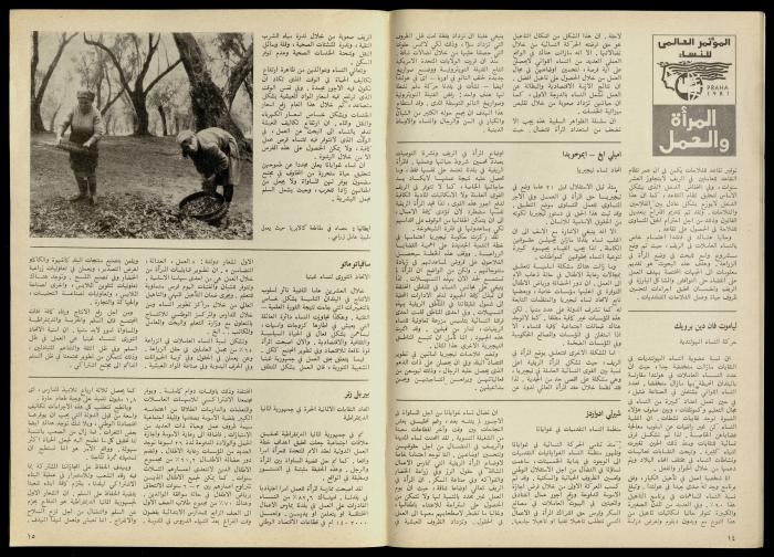 مجلة النساء الديمقراطيات 