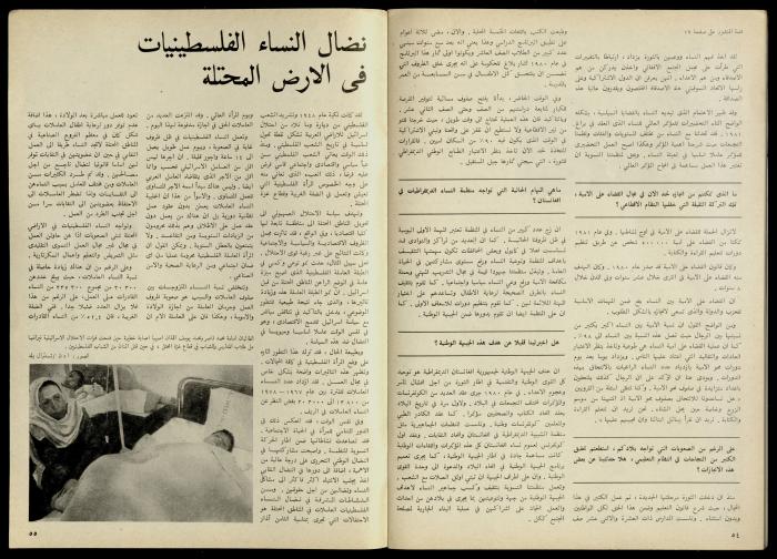 مجلة النساء الديمقراطيات 