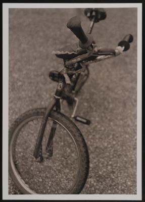 The Bicycle of Shaheed Yazan Halayqa Displayed at the  