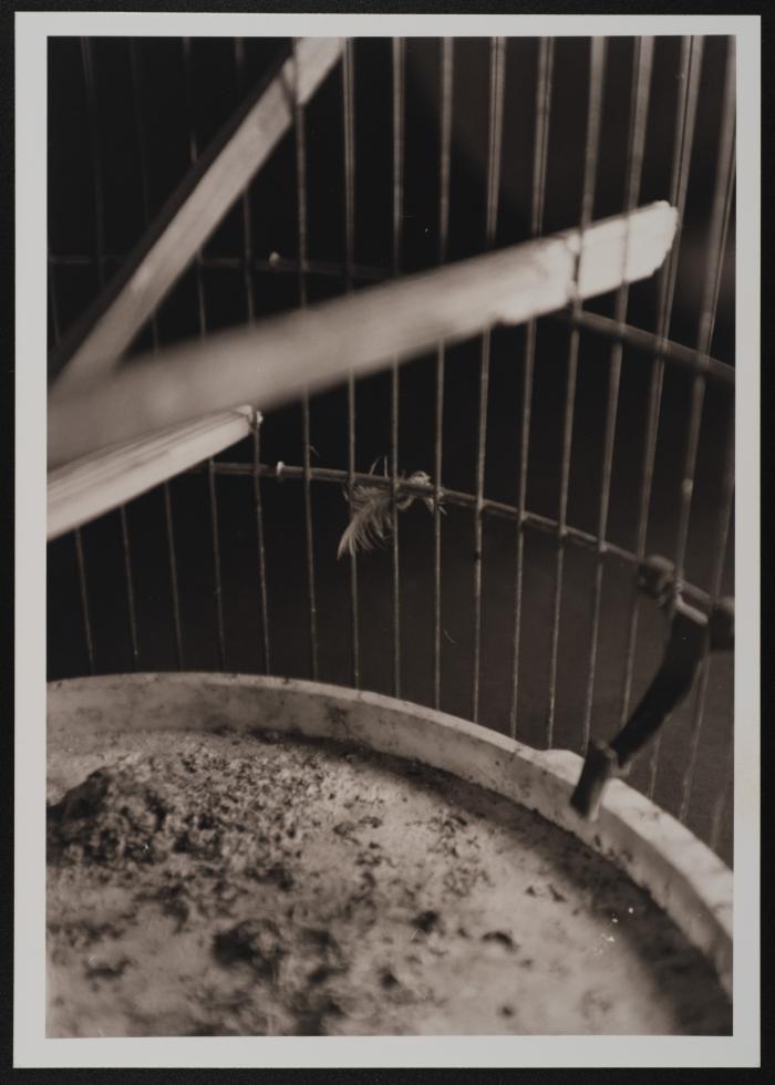 The Birdcage of Shaheed Mahmoud Is'eid Displayed at the '100 Shaheeds - 100 Lives' Exhibition, Feb 2001 