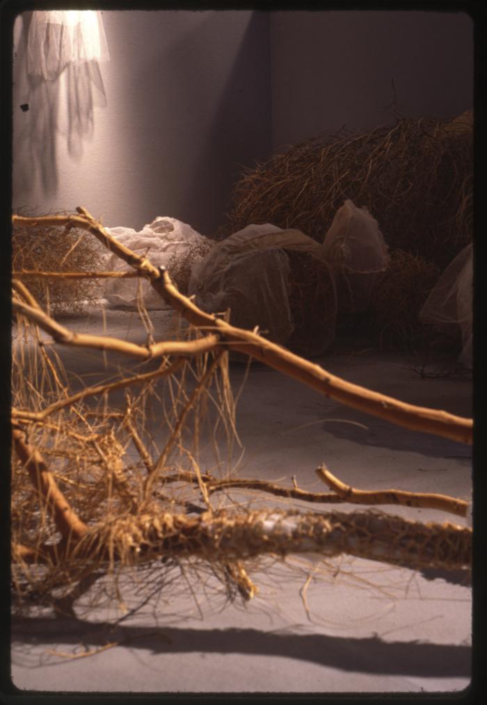 "Shapeshifters"an artwork by artist Mary Tuma, 1994