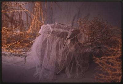 "Shapeshifters"an artwork by artist Mary Tuma, 1994
