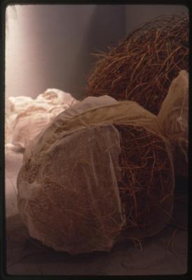 "Shapeshifters"an artwork by artist Mary Tuma, 1994