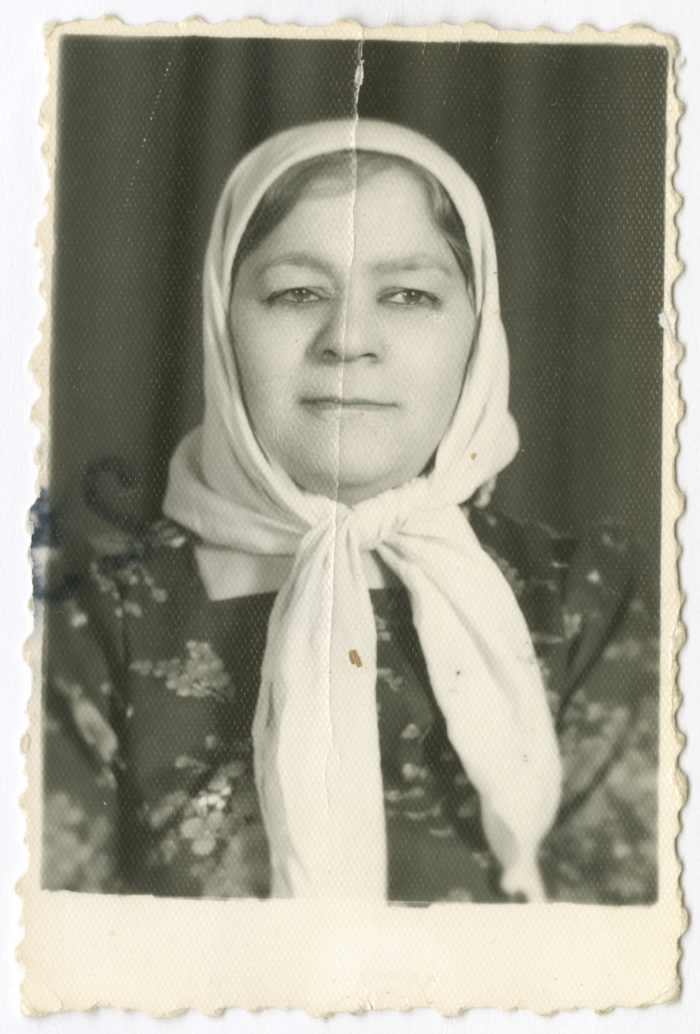 Bahiyyeh Othman al-Shalabi, the 1960s 