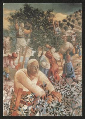 A Postcard featuring the painting "Olive picking" by artist Sliman Mansour