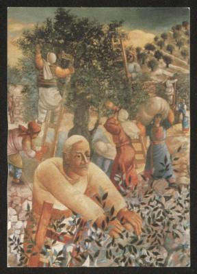 A Postcard featuring the painting "Olive Harvest " by artist Sliman Mansour
