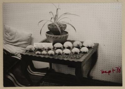 Plant Pot and Turtle-Shaped Figurines at The Gallery, Amman, September 1978