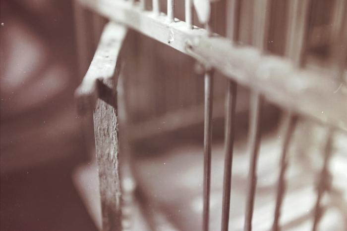 The Birdcage of Shaheed Nizar Eideh Displayed at the '100 Shaheed - 100 Lives' Exhibition, Feb 2001