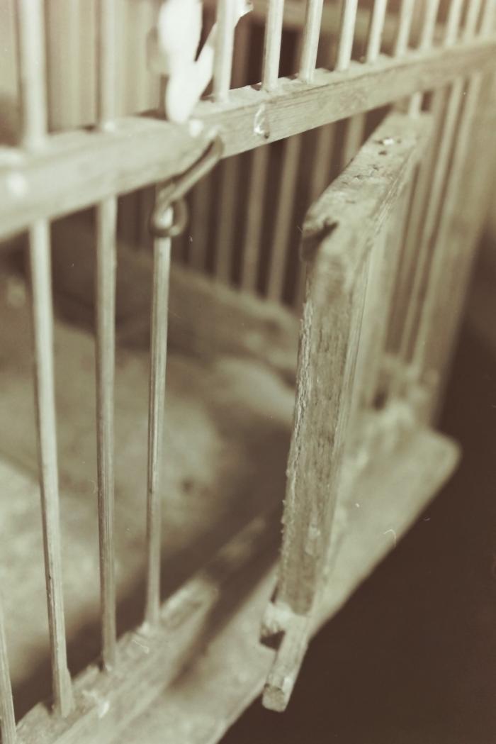 The Birdcage of Shaheed Nizar Eideh Displayed at the '100 Shaheed - 100 Lives' Exhibition, Feb 2001