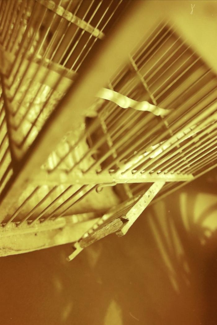 The Birdcage of Shaheed Nizar Eideh Displayed at the '100 Shaheed - 100 Lives' Exhibition, Feb 2001