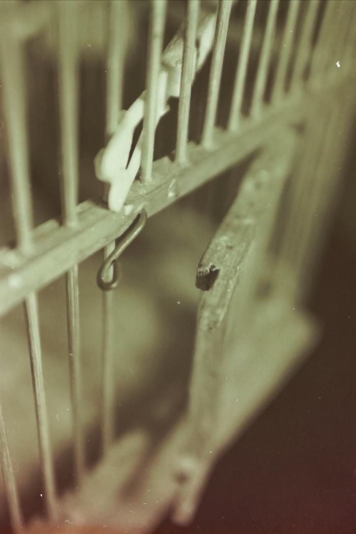 The Birdcage of Shaheed Nizar Eideh Displayed at the '100 Shaheed - 100 Lives' Exhibition, Feb 2001