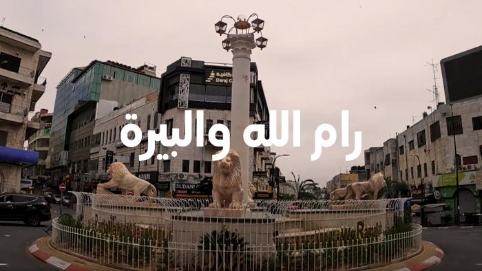 فيديو 