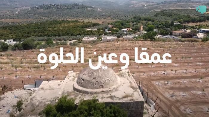 فيديو 
