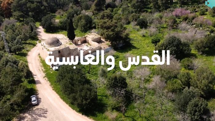 فيديو 