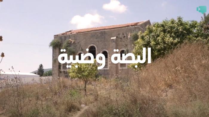 فيديو 