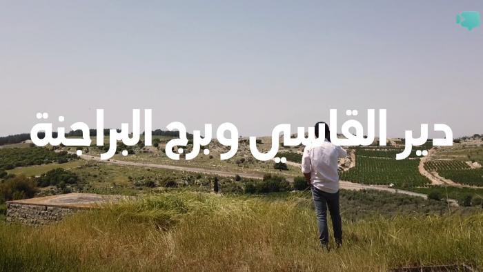 فيديو 