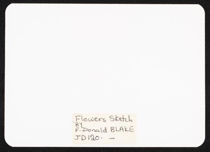 Artwork by Artist St. Louis Blaise, Amman