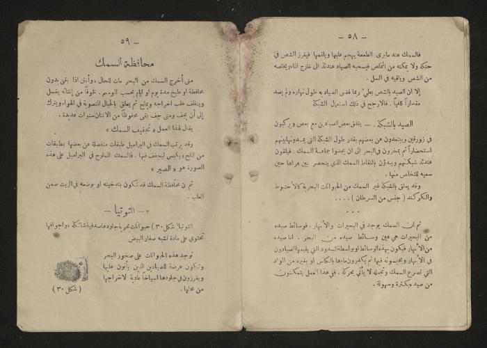  A general science book , 1920s 