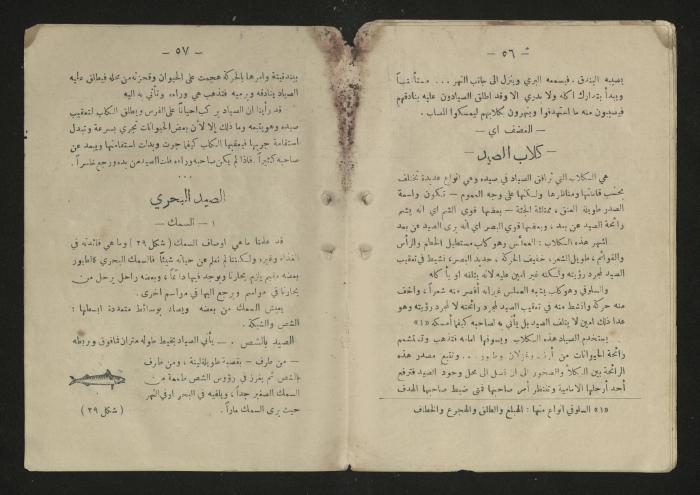  A general science book , 1920s 