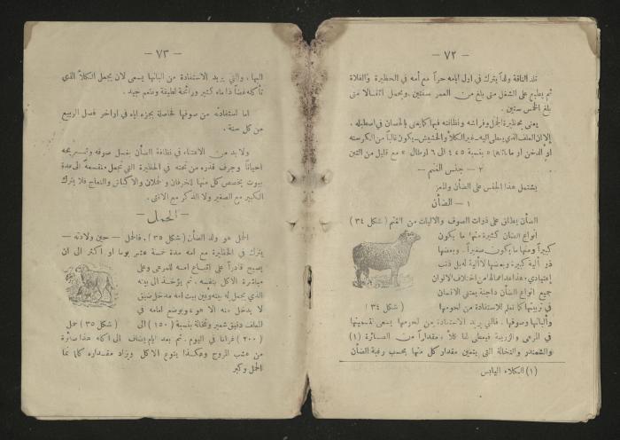  A general science book , 1920s 