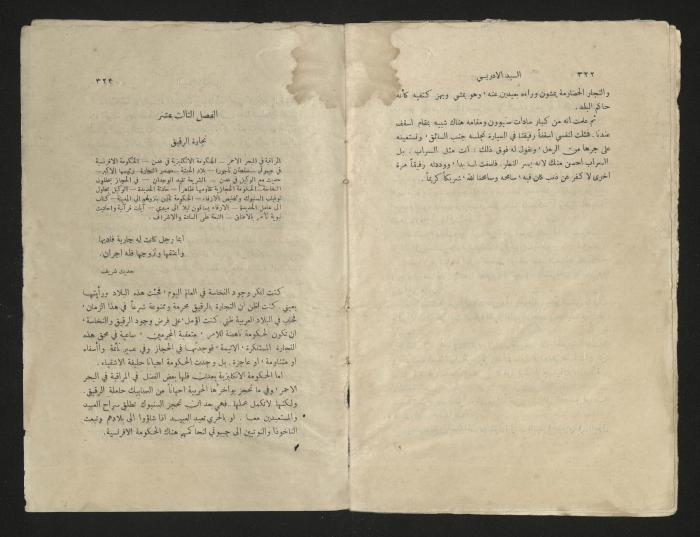 كتاب عن محمد بن علي الإدريسي، عشرينيات القرن العشرين