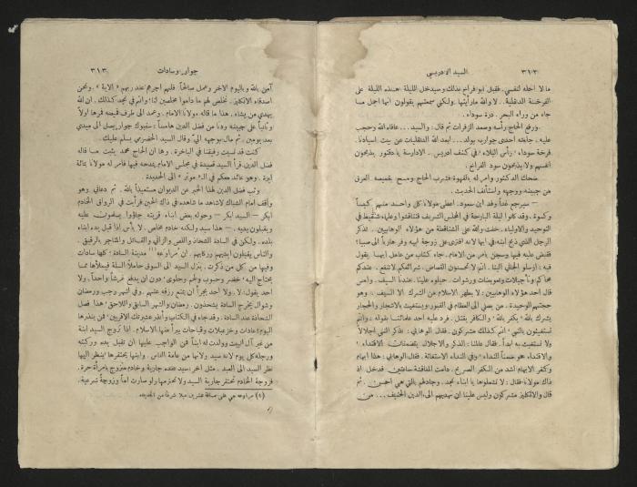 كتاب عن محمد بن علي الإدريسي، عشرينيات القرن العشرين