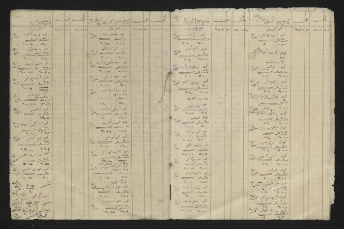 A ledger in Ottoman, 1917