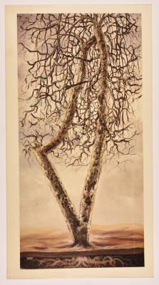 A Postcard Goes Back in Time to1979-1984 Found in the Archive of Salfeet Women Charity Collection