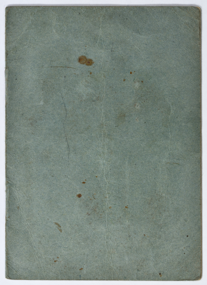 Amir Da'na's Travel Visa to Jordan, Syria, and Lebanon