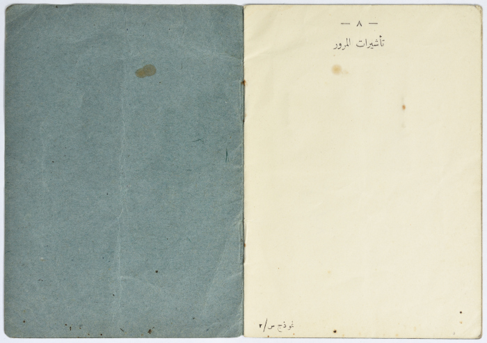 Amir Da'na's Travel Visa to Jordan, Syria, and Lebanon