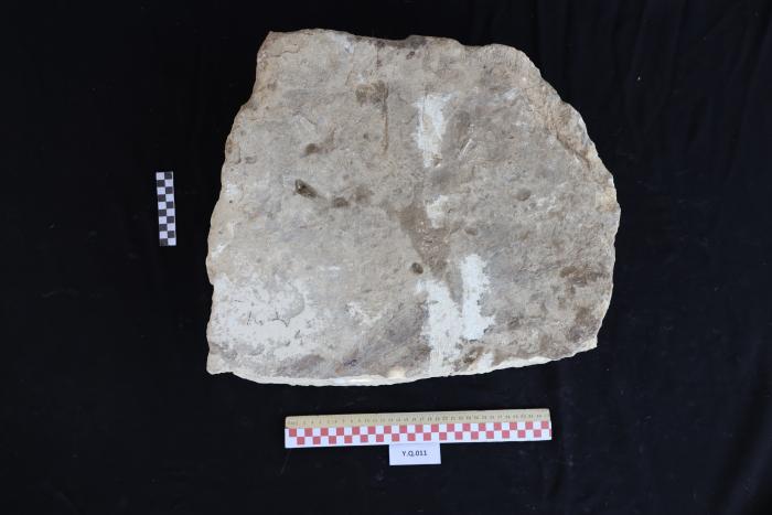 A limestone tile, Al-Qarara, 2025