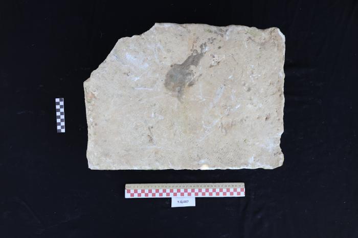 A sandstone, Al-Qarara, 2025