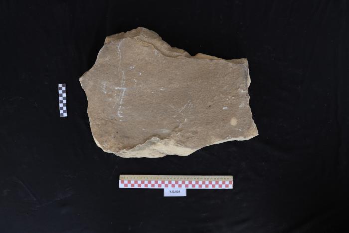 شاهد قبر من الحجر الرملي، القرارة، 2025