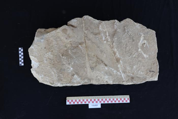 Sandstone gravestone, Al -Qarara, 2025