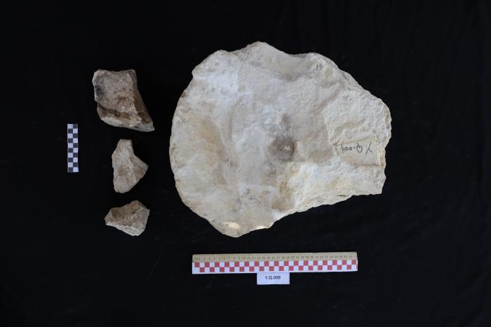 Limestone column body, Al-Qarara, 2025