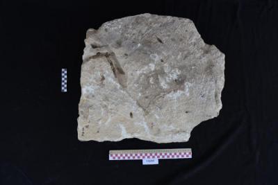 Headstone, Al-Qarara, 2025