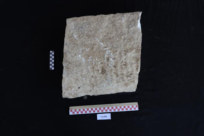 A sandstone, Al-Qarara, 2025