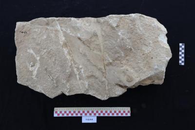 Sandstone gravestone, Al -Qarara, 2025