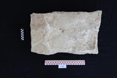 A sandstone headstone, Al-Qarara, 2025