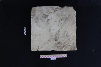 Sandstone gravestone, Al-Qarara, 2025