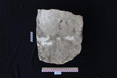 A limestone tile, Al-Qarara, 2025