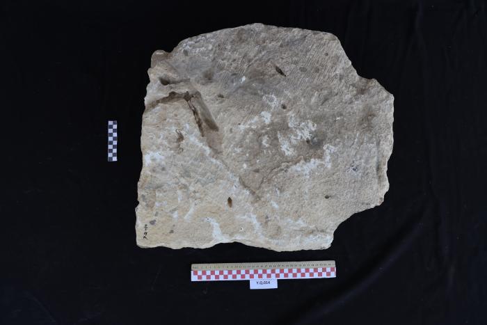 Headstone, Al-Qarara, 2025